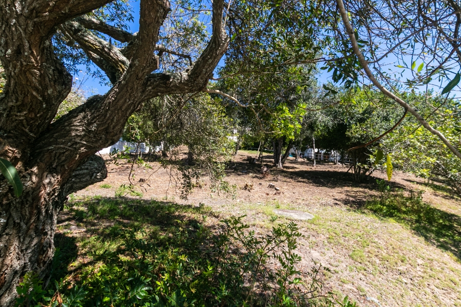 0 Bedroom Property for Sale in Belvidere Estate Western Cape